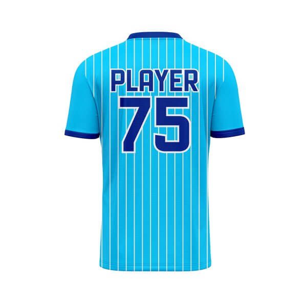 Back view Sky blue color baseball style t shirts